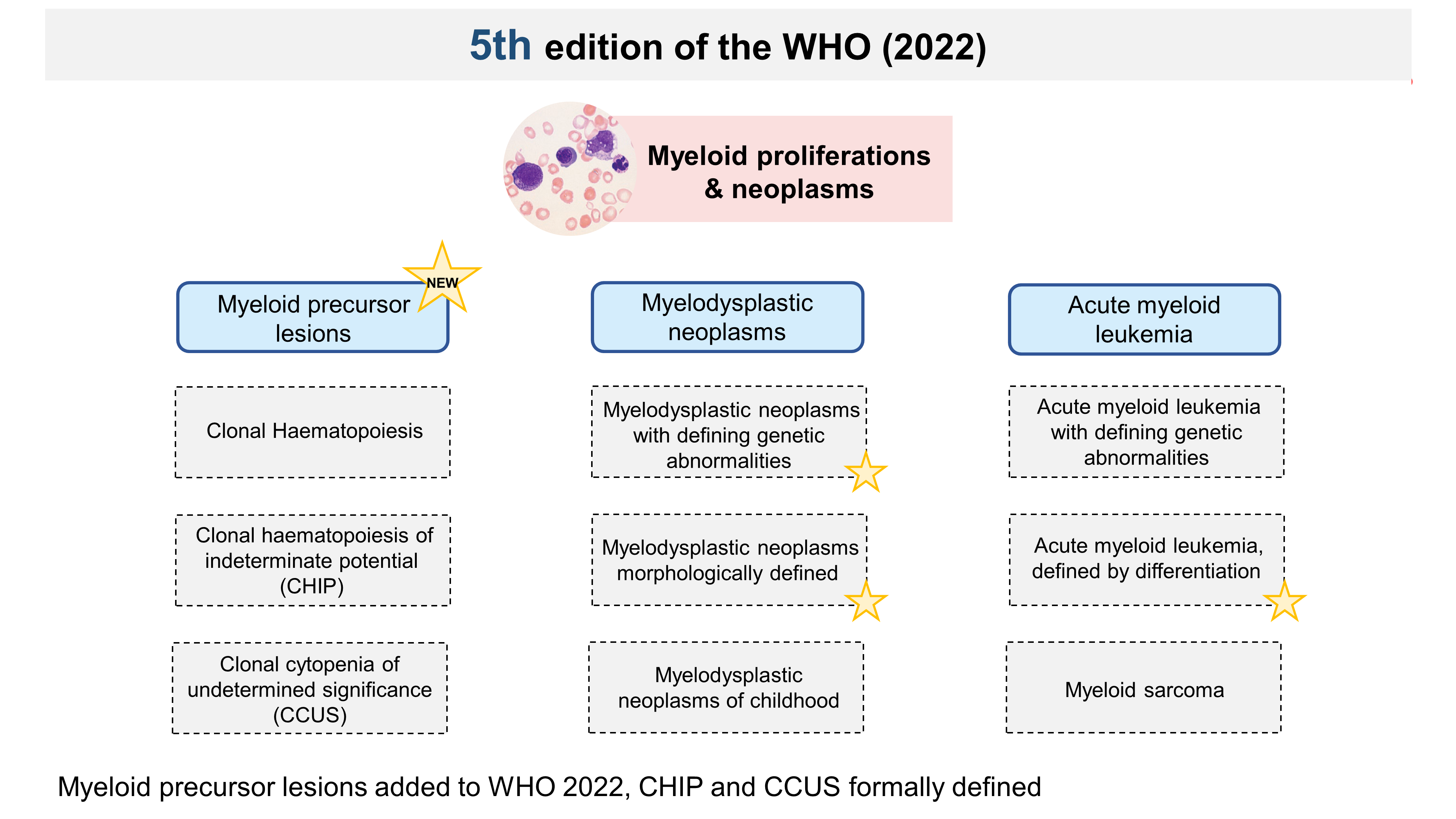 The New WHO Classification 2022 MLL